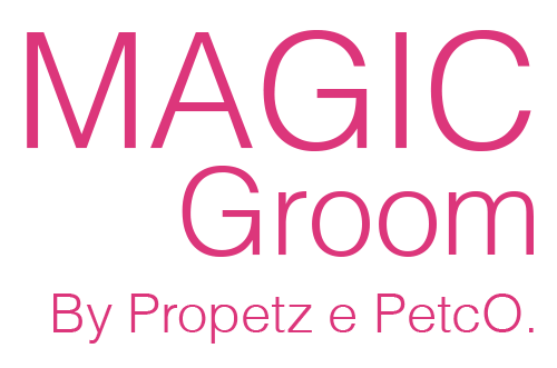 Magic Groom